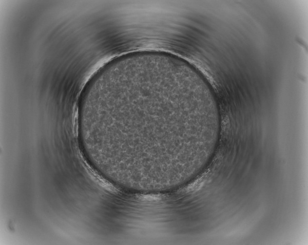 X0000095111126200712211315