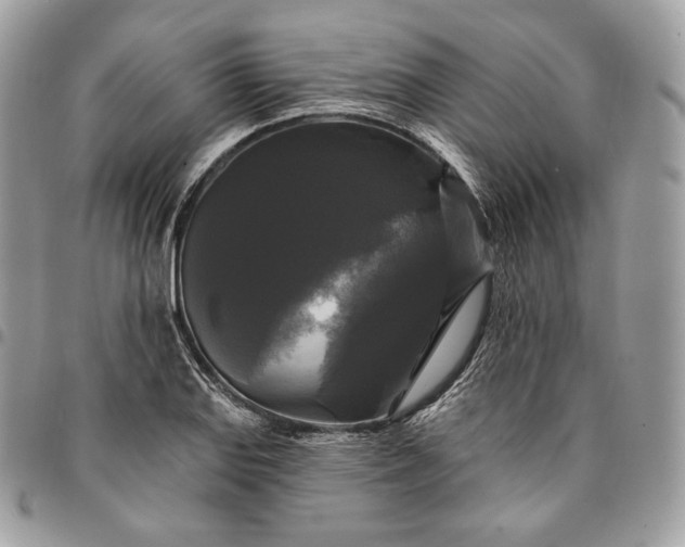 X0000095111127200712211315