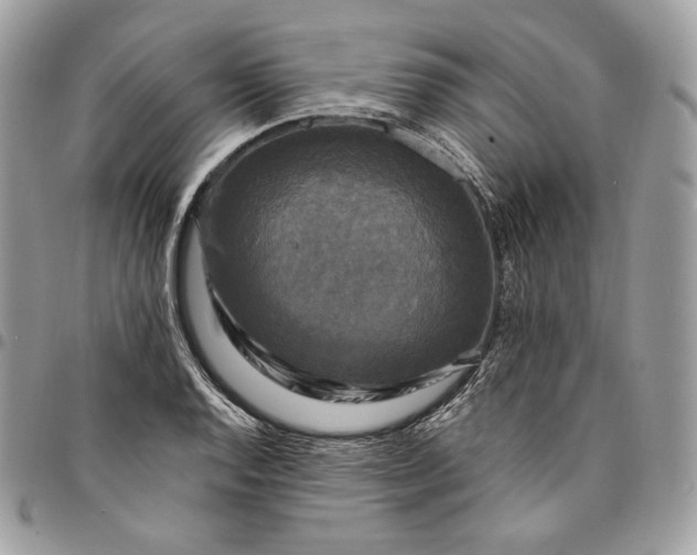 X0000095111128200712211315