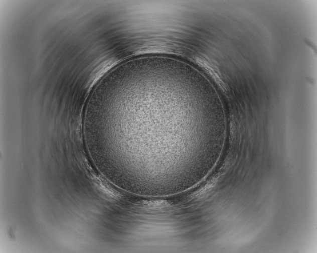 X0000095111129200712211315