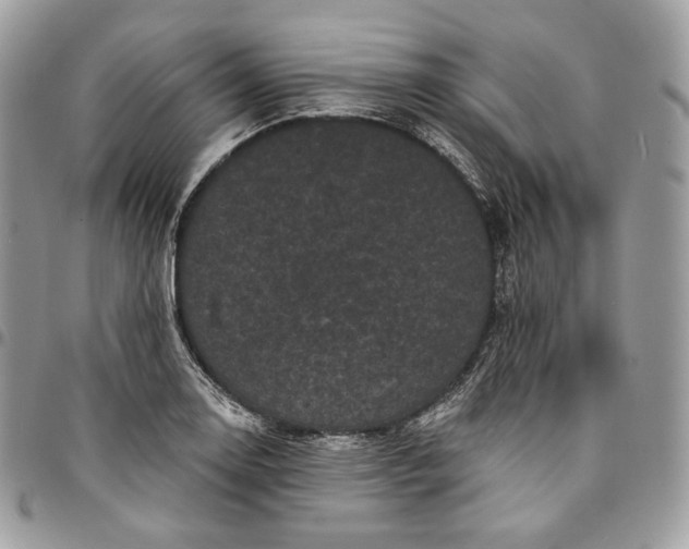 X0000095111130200712211315