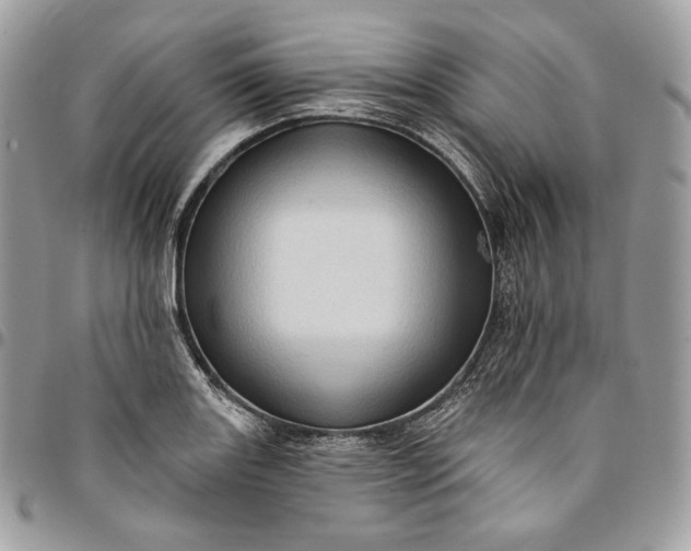 X0000095111131200712211315