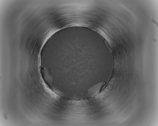 X0000095111132200712211315