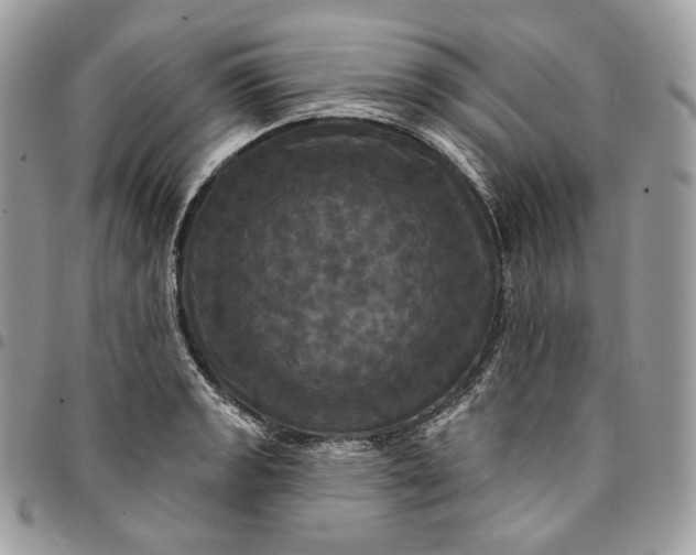 X0000095111133200712211315