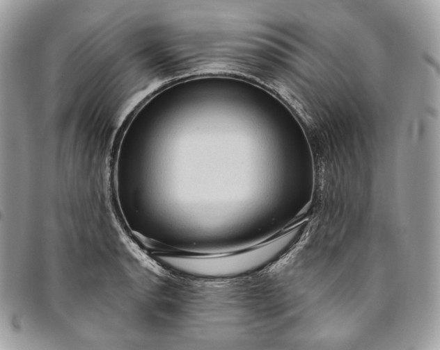 X0000095111134200712211315