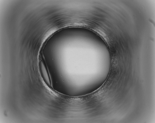 X0000095111135200712211315