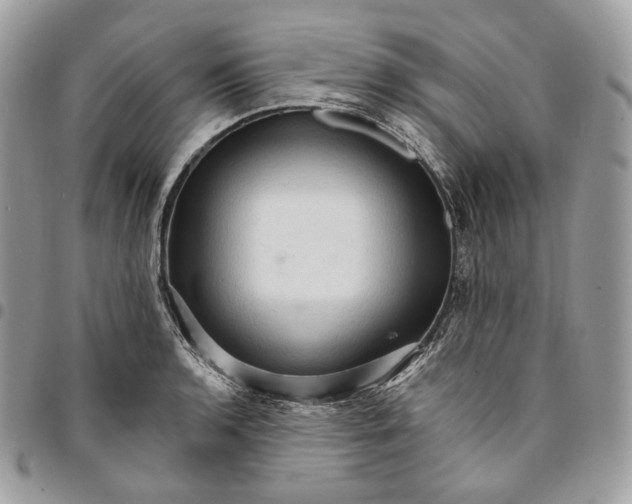 X0000095111136200712211315