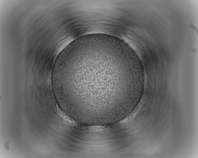 X0000095111137200712211315