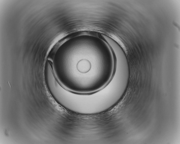 X0000095111138200712211315