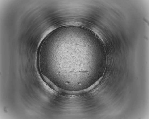 X0000095111139200712211315