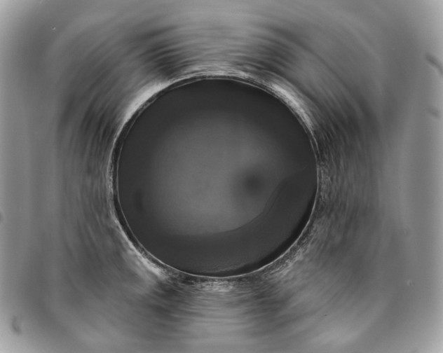 X0000095111141200712211315