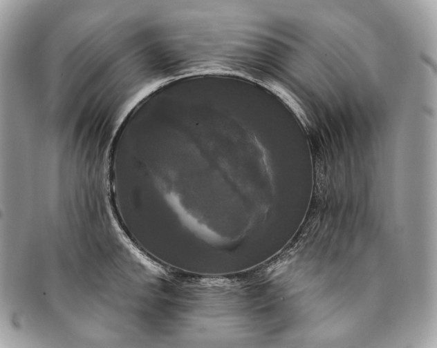 X0000095111142200712211315