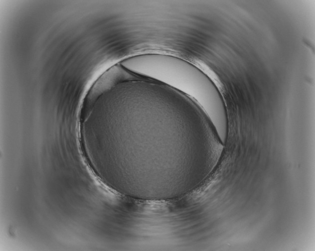 X0000095111144200712211315