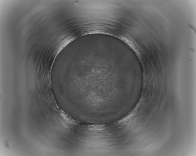 X0000095111145200712211315