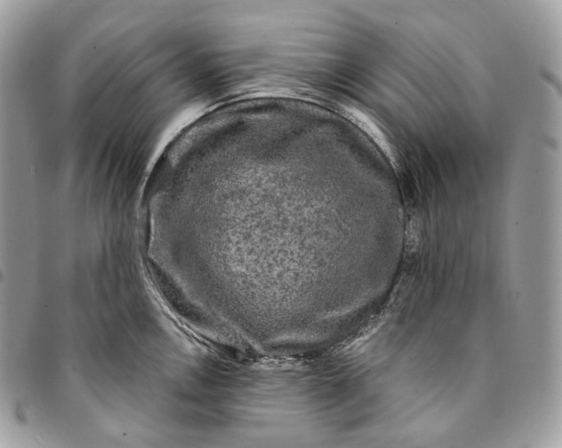 X0000095111146200712211315