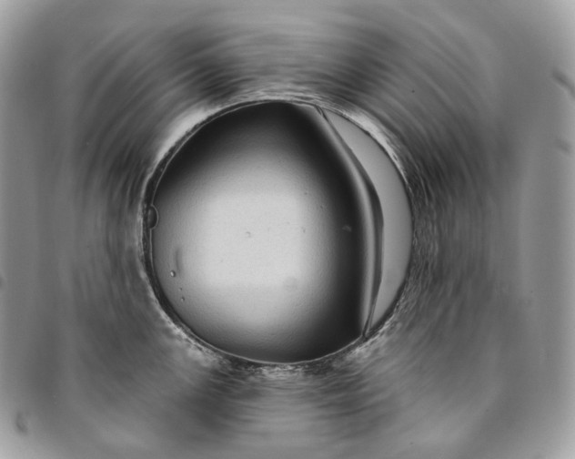 X0000095111147200712211315