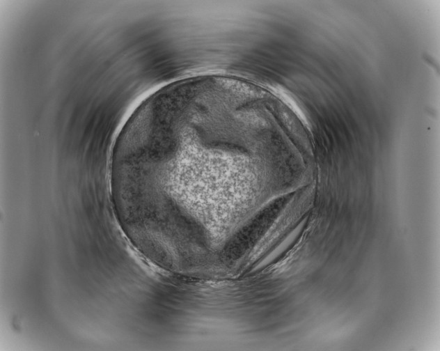 X0000095111148200712211315