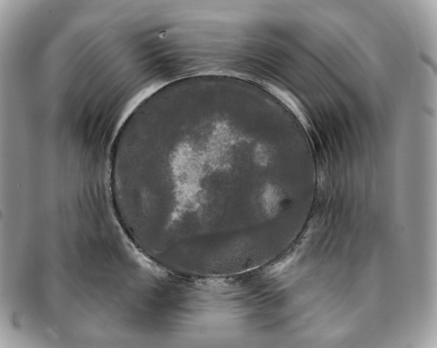 X0000095111149200712211315