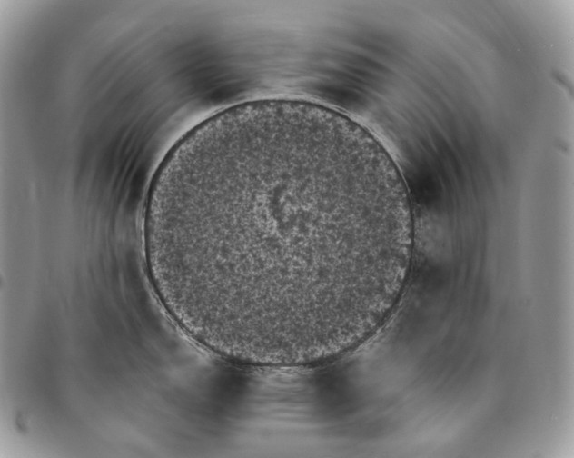 X0000095111150200712211315