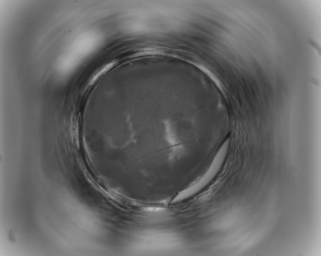 X0000095111151200712211315