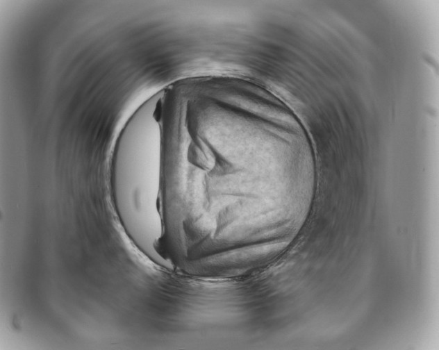 X0000095111152200712211315