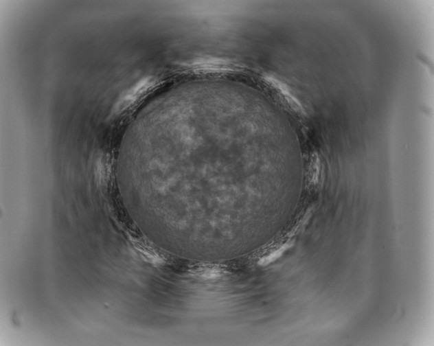 X0000095111157200712211314