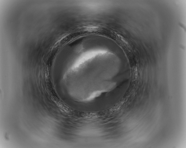 X0000095111158200712211314