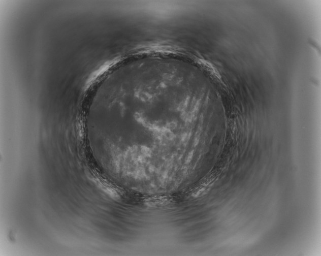 X0000095111159200712211314