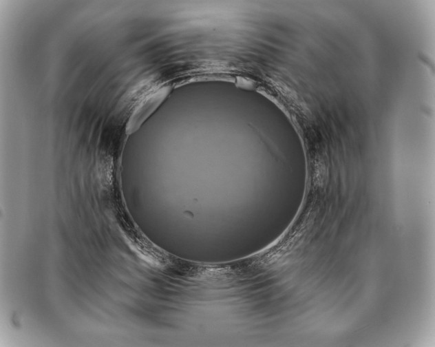 X0000095111161200712211314