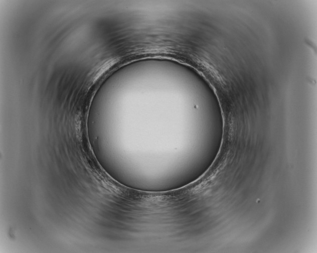 X0000095111162200712211314