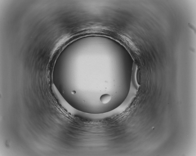 X0000095111164200712211314