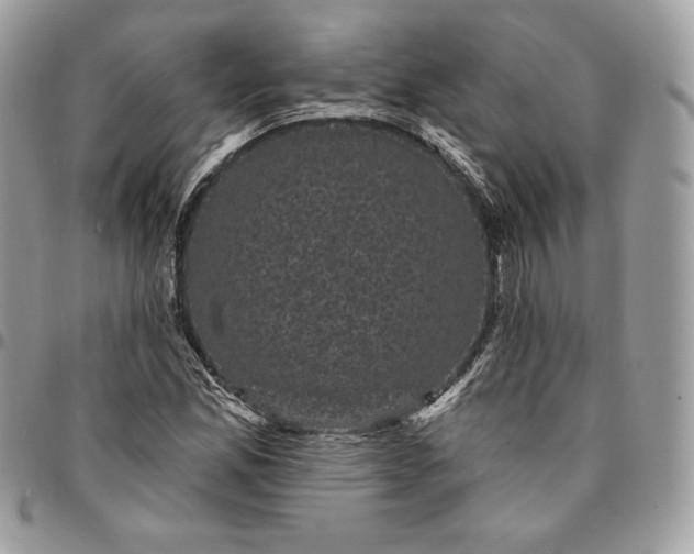 X0000095111165200712211314