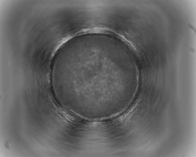 X0000095111166200712211314