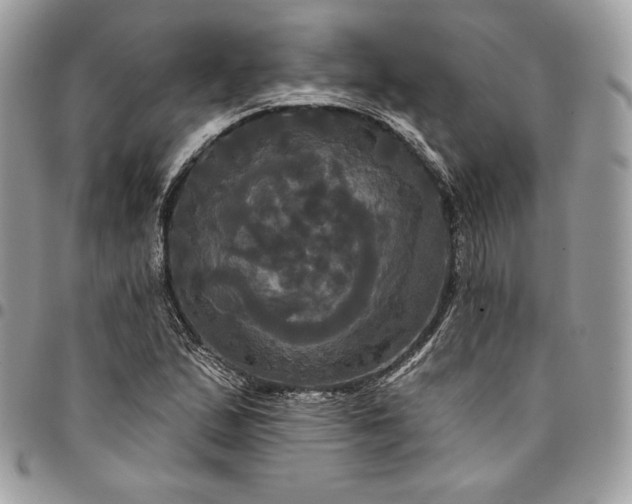 X0000095111167200712211314