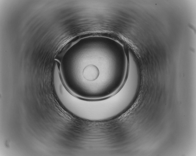 X0000095111169200712211314