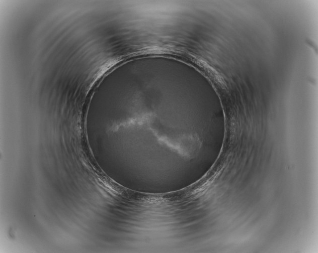 X0000095111170200712211314