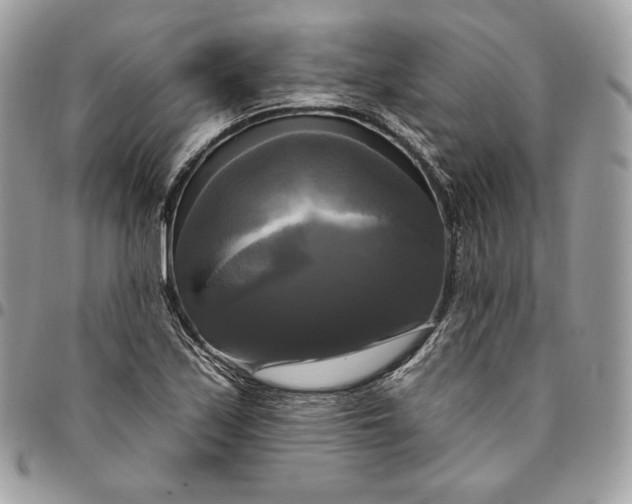 X0000095111171200712211314