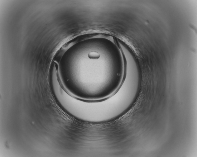 X0000095111173200712211314