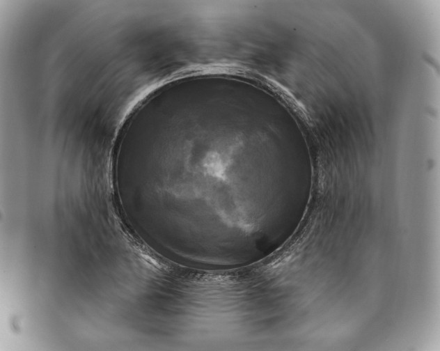 X0000095111174200712211314