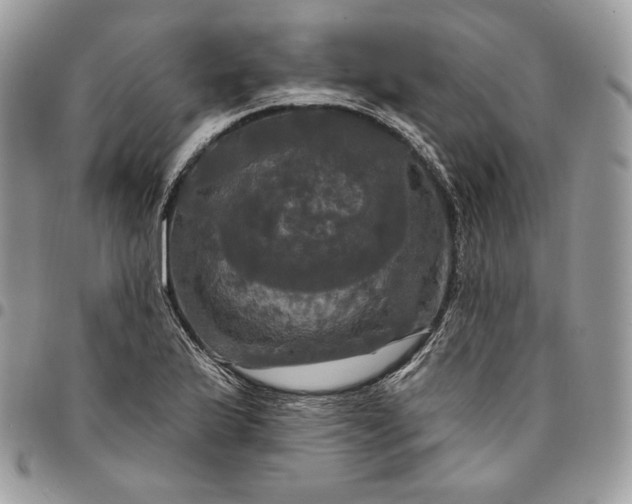 X0000095111175200712211314