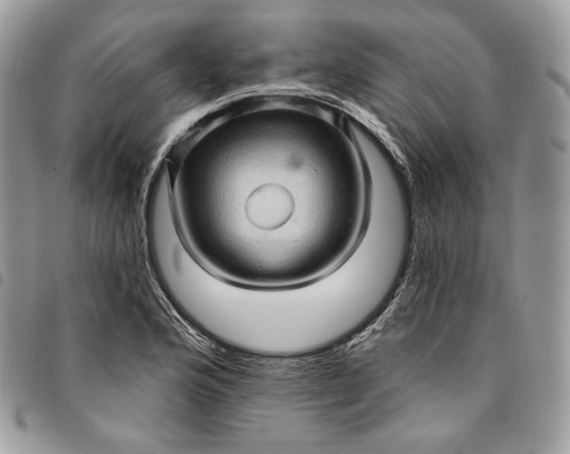 X0000095111176200712211314