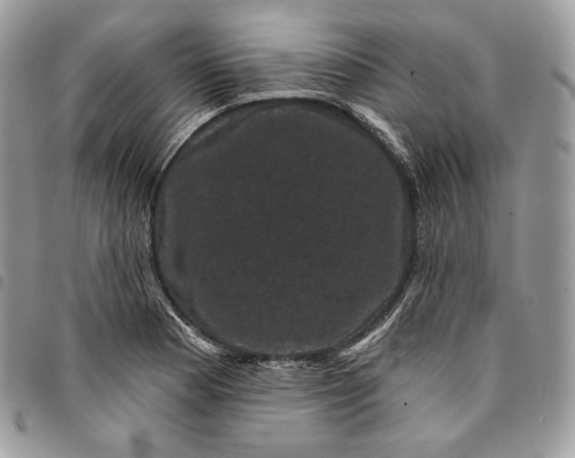 X0000095111177200712211314