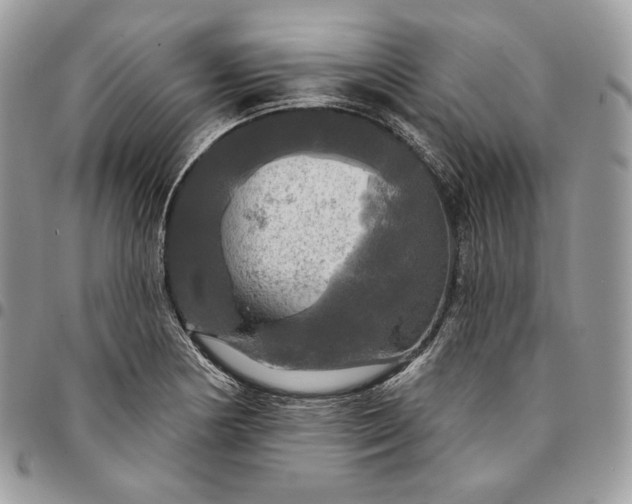 X0000095111178200712211314