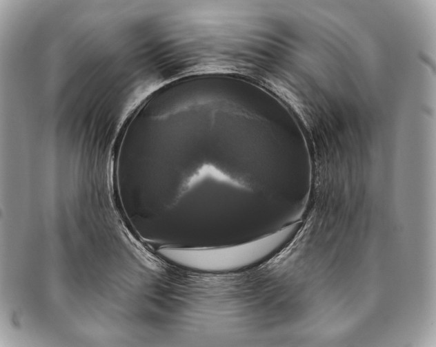 X0000095111179200712211314