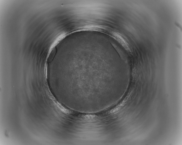 X0000095111180200712211314