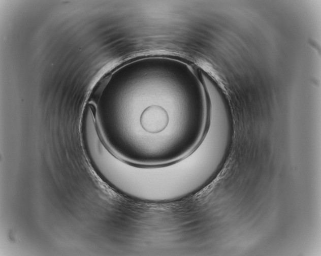 X0000095111181200712211314