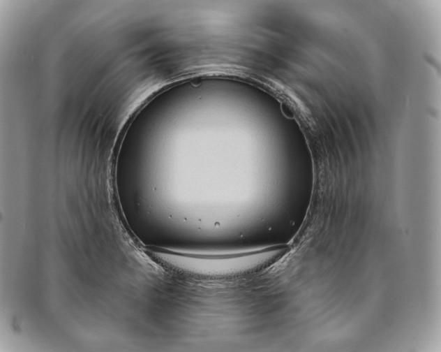 X0000095111182200712211314