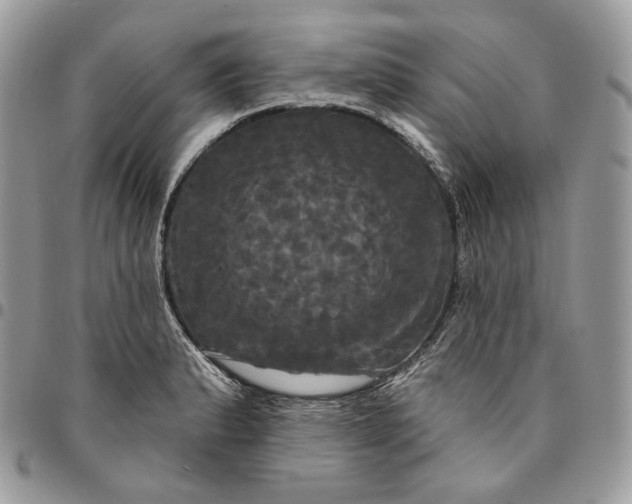 X0000095111183200712211314