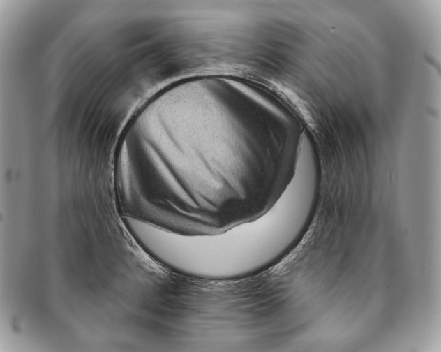 X0000095111184200712211314