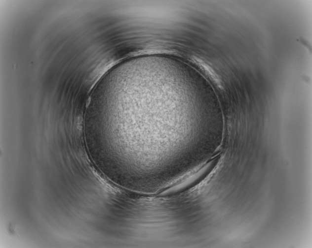 X0000095111185200712211314